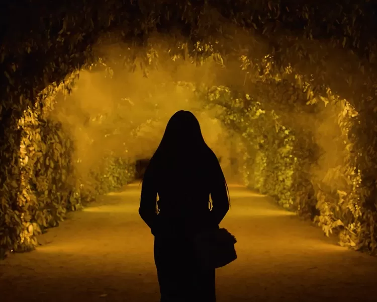 DJPOWER’s Full Stage Special Effects Support Aotearoa Arts Festival 《Light Cycles by Moment Factory》